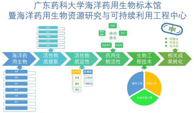 广东省导游考试网，探索专业导游的成长之路