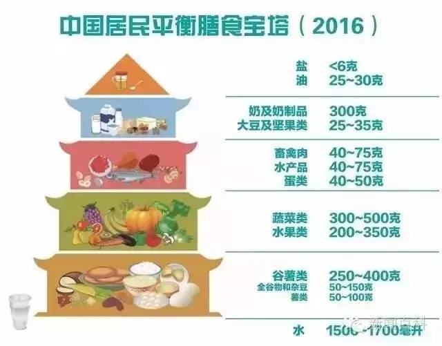 润康营养摄入指南，适宜的食用月份与建议