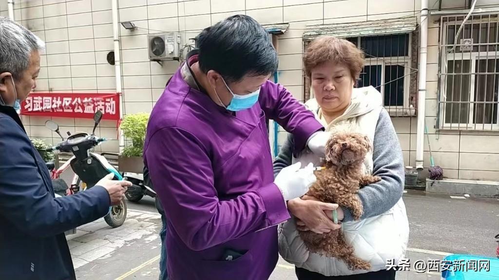 广东省犬类管理规定，规范养犬行为，保障公共安全