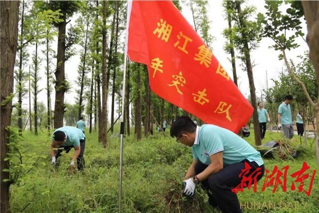 广东绿才有限公司，绿色发展的领航者