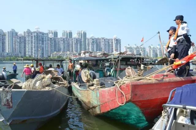 广东省海洋渔业厅，守护蓝色海洋，促进渔业繁荣