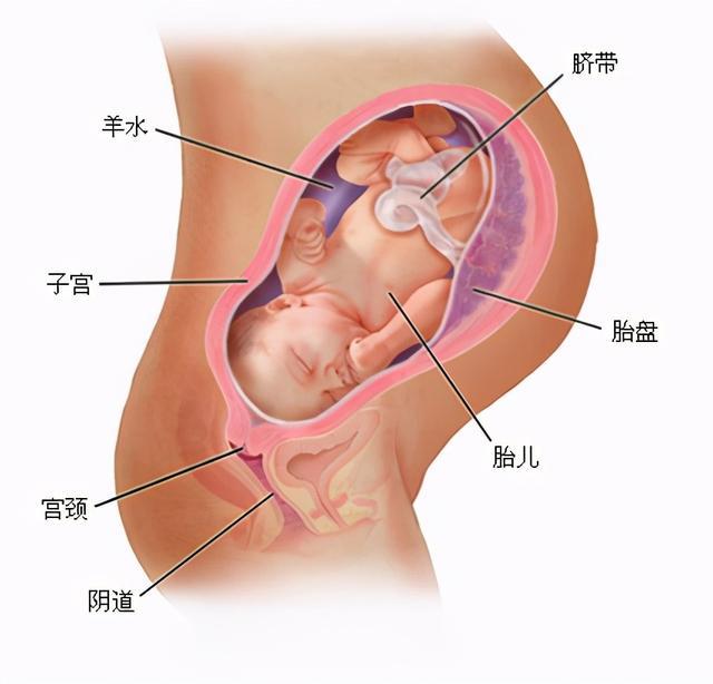 2025年1月22日 第45页