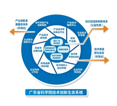 广东省高新技术企业培育，创新驱动发展的关键力量