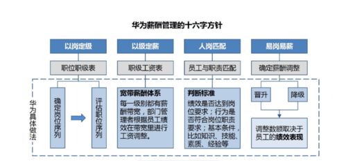 江苏爱康科技职位等级体系详解