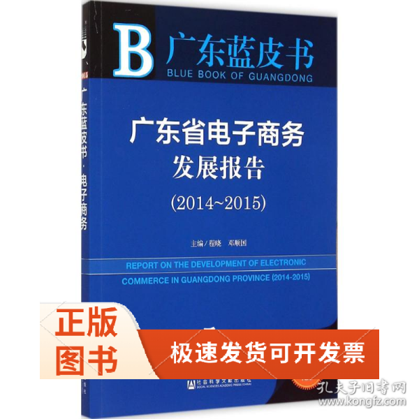 广东省电子商务的崛起与发展