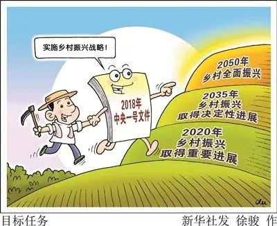 广东省农村2号文件，推动乡村振兴战略的实践与思考