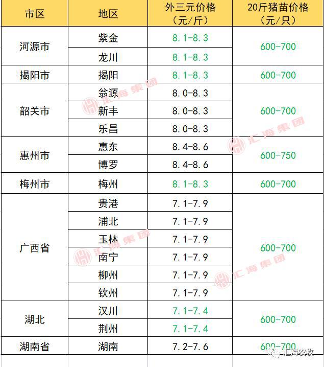 6个月糖耐检查费用解析