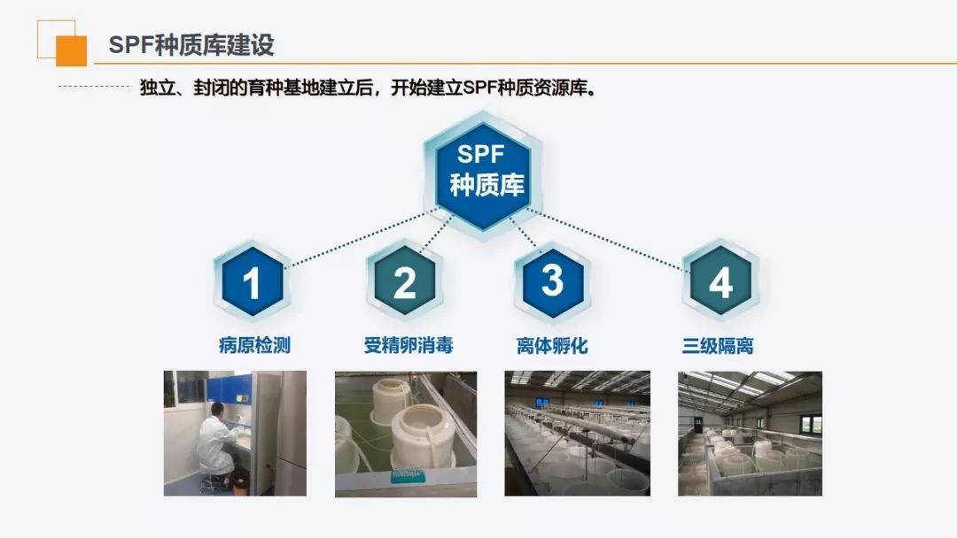 广东省厂房甲醛问题及其应对策略