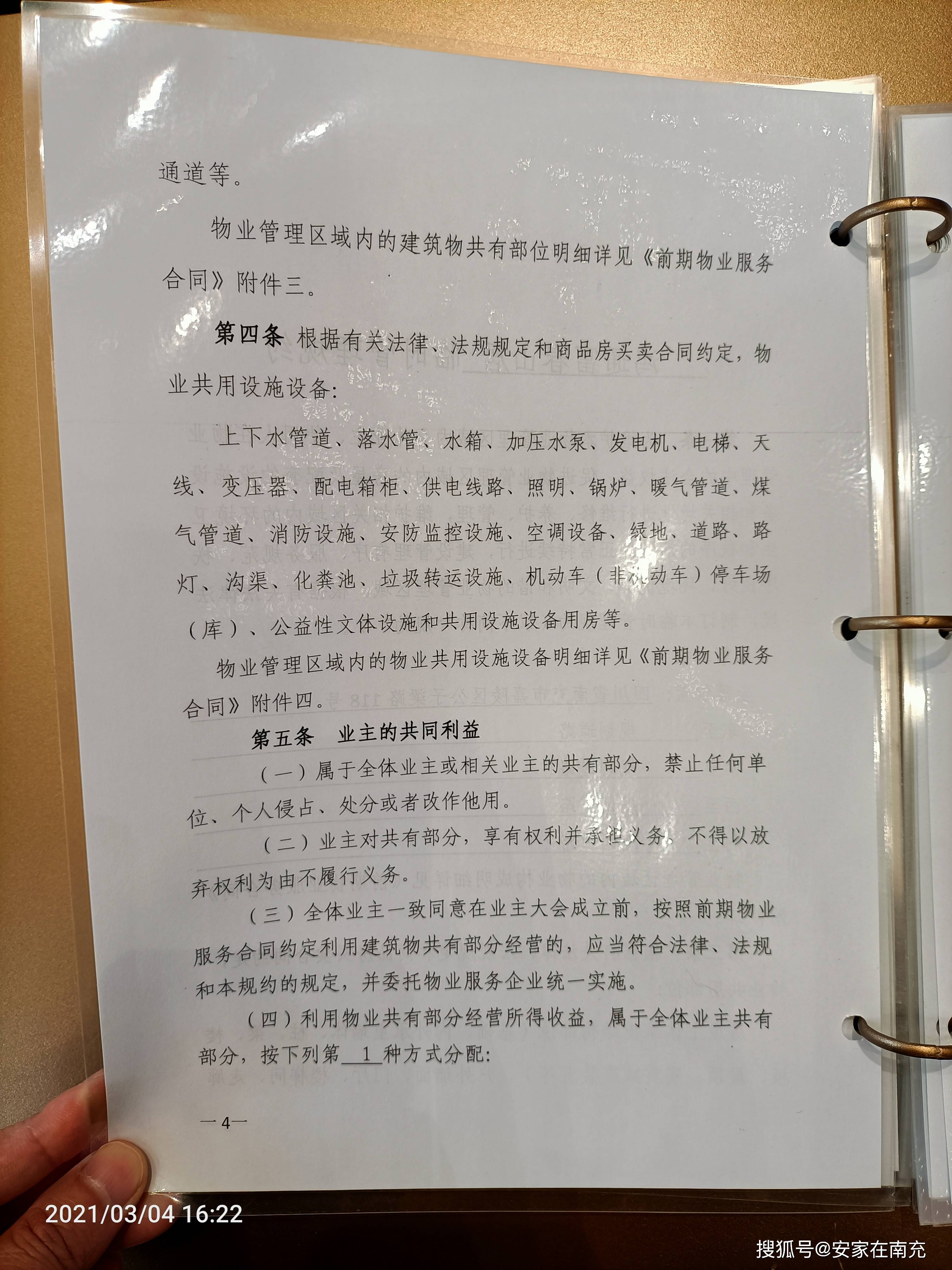 广东省肇庆市鼎湖区天气观察与解读