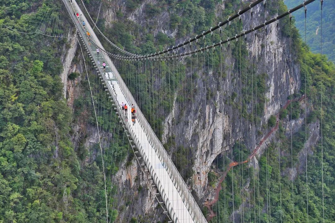 广东省旅游管理公司的魅力与未来