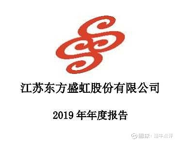 江苏盛虹科技年报深度解析